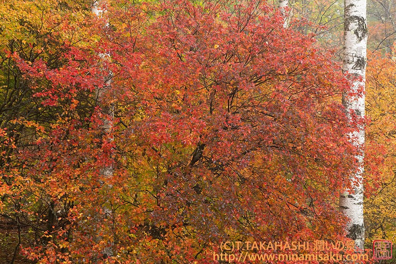 ../Images/7R251026 (150).jpg